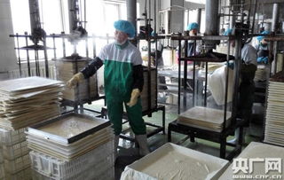 天人和 寧夏食品企業(yè)榮膺中國豆制品樣板工廠，引領健康飲食新風尚